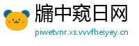 牖中窥日网